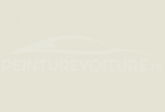 Code peinture Renault 04318 Blanc