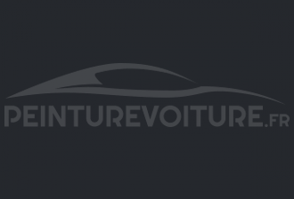 Code peinture Renault 04621 Gris Lynx