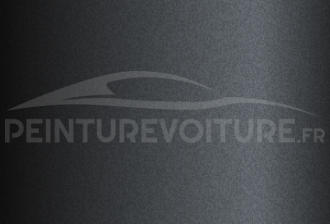 Code peinture Renault 04699 Gris Eclipse Vega
