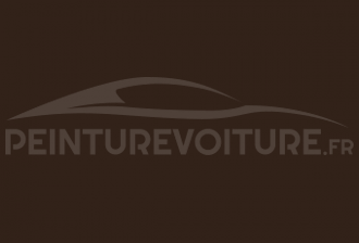 Code peinture Ral Design System 050 20 10 Brown