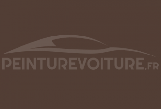 Code peinture Ral Design System 050 30 10 Brown