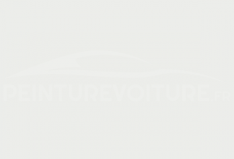 Code peinture Renault 05302 Blanc