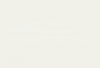 Code peinture Daf 0571312-6060 Beige Chassis