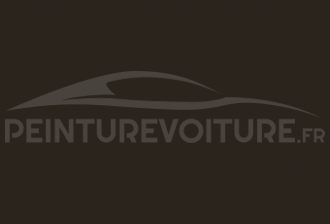 Code peinture Ral Design System 060 20 05 Dark Brown