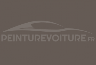 Code peinture Ral Design System 060 40 05 Grigio Beige