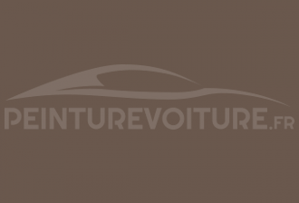 Code peinture Ral Design System 060 40 10 Moor Oak Grey