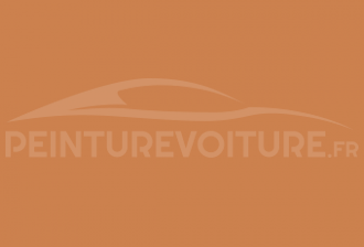 Code peinture Ral Design System 060 60 50 Ochre
