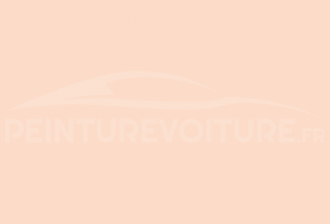 Code peinture Ral Design System 060 90 15 Peach