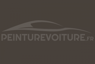 Code peinture Ral Design System 060 30 05 Brown