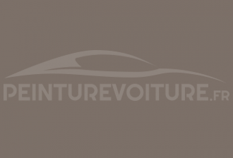 Code peinture Ral Design System 060 50 05 Brown