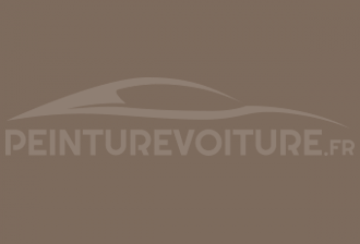 Code peinture Ral Design System 060 50 10 Brown