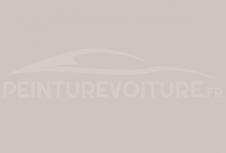 Code peinture Ral Design System 060 80 05 Grey Rose