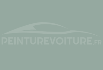 Code peinture Renault 07B Gris Horizon