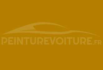 Code peinture Suzuki 07T Yellow