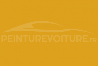 Code peinture Ral Design System 080 70 70 Yellow