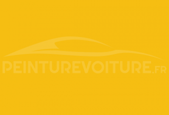 Code peinture Ral Design System 085 80 80 Yellow