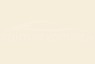 Code peinture Ral Design System 085 93 05 Vintage White