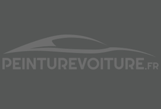 Code peinture Seat 086 Gris Nube