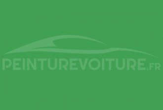 Code peinture Toyota 09 Cactus Green