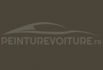 Code peinture Renault 090 Vert Armee