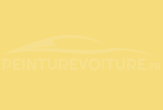Code peinture Ral Design System 0958550 Sport Yellow