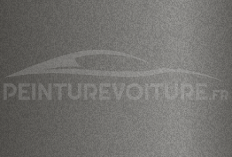 Code peinture Suzuki 09D Grey