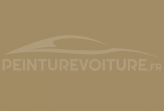 Code peinture Suzuki 09N Prairie Beige