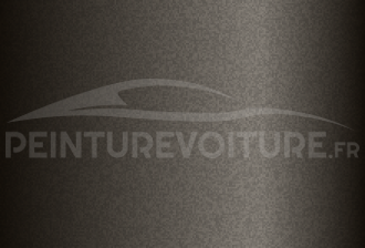 Code peinture Subaru 09V Grey