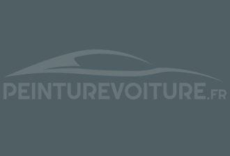 Code peinture Suzuki 0FL Cool Grey (int.)