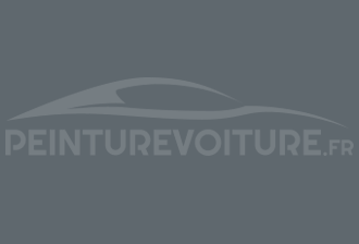 Code peinture Suzuki 0FM Medium Grey (int.)