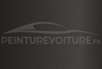 Code peinture Renault 1000 Grigio (montante R18)