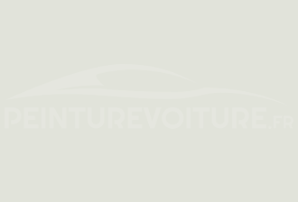 Code peinture Suzuki 1000 Super White (vitara)