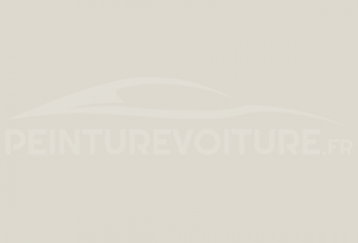 Code peinture CHERY AUTOMOBILE 1001 Cool Gray