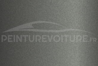 Code peinture Renault 1003 Gris Moyen Matt