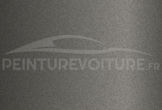 Code peinture Peugeot 1004 Gris Irise