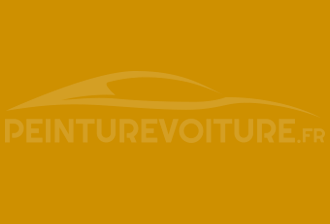 Code peinture Mitsubishi 1005 Yellow