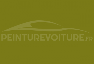 Code peinture Ral Design System 100 50 50 Green