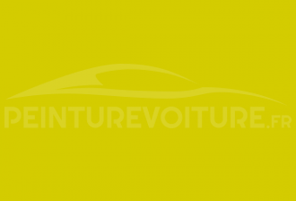 Code peinture Ral Design System 100 80 80 Acid Yellow