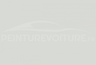 Code peinture Toyota 101 Branco Antartida