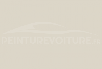 Code peinture Peugeot 1010 Ivoire