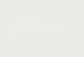 Code peinture Toyota 10134 Super White