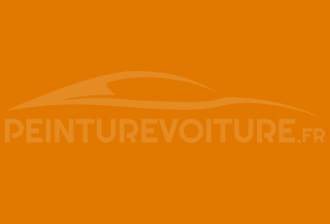 Code peinture Isuzu 1017 Signal Orange