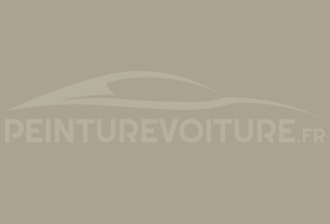 Code peinture Skoda 1019 Sandgrau/beige