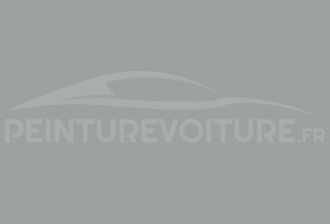 Code peinture Skoda 1024 Grau-donnington Grey-strassengrau