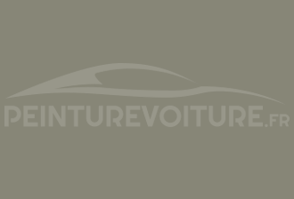 Code peinture Toyota 103 Wood Mist Grey
