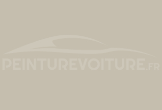 Code peinture Peugeot 1045 Beige