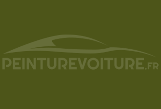 Code peinture Nissan 105 Olive