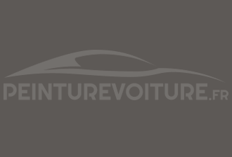 Code peinture Jaguar 106 Vapour Grey