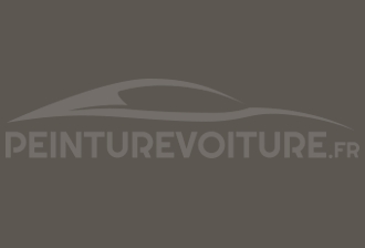 Code peinture Mitsubishi AC10828 Dark Brown