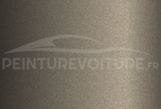 Code peinture FSO 109 Platinum